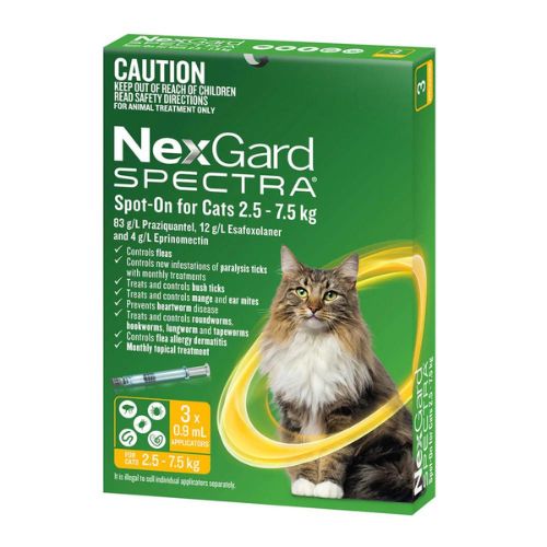 Nexgard spectra large dog best sale 12 pack