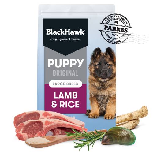 Black hawk 2025 large breed puppy